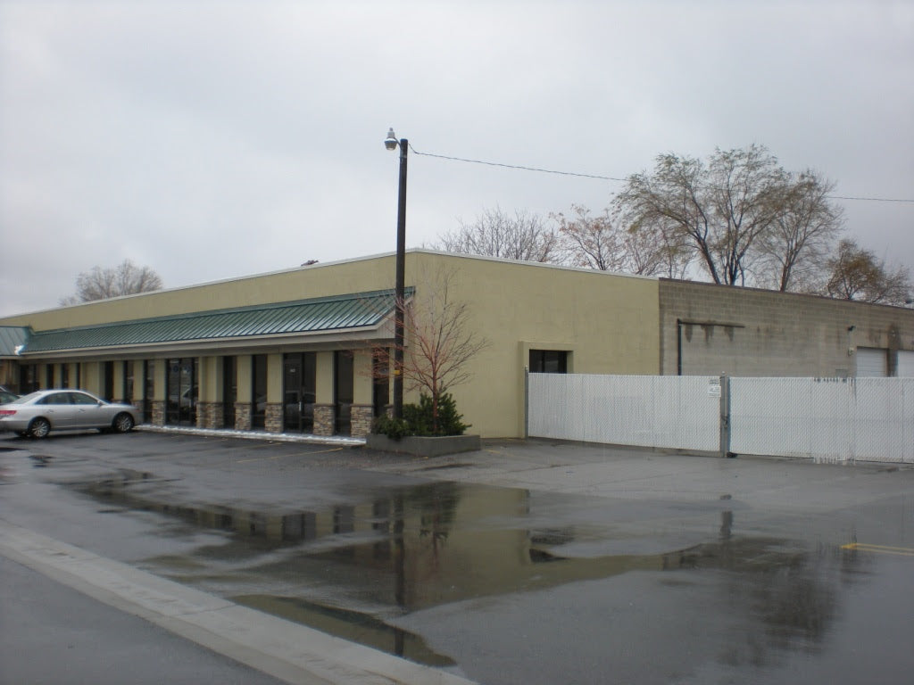 Red Finch in Salt Lake!