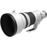 Canon RF 100-300mm f/2.8 L IS USM Lens