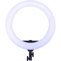 Dracast LED180 Daylight Ring Light