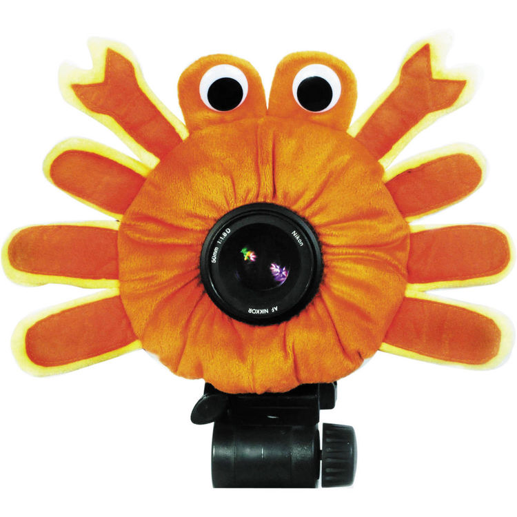 Camera Crab – Red Finch Rental